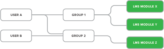 Users to Groups to LMS Modules structure